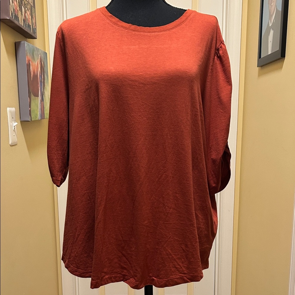 Time and Tru Women's Ruched Sleeve Top - Deep Rust